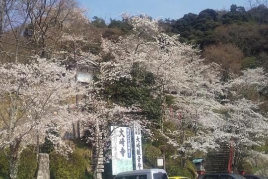 ������ꥦ������