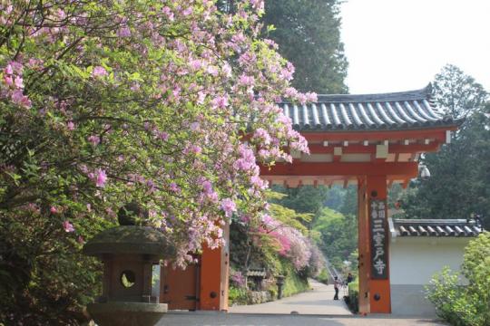 ����ʿ�����Ȼ����ͻ�