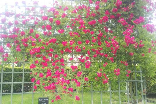 ���Վ܎��َĎގ��ێ����ގ��ގ��Îގ�