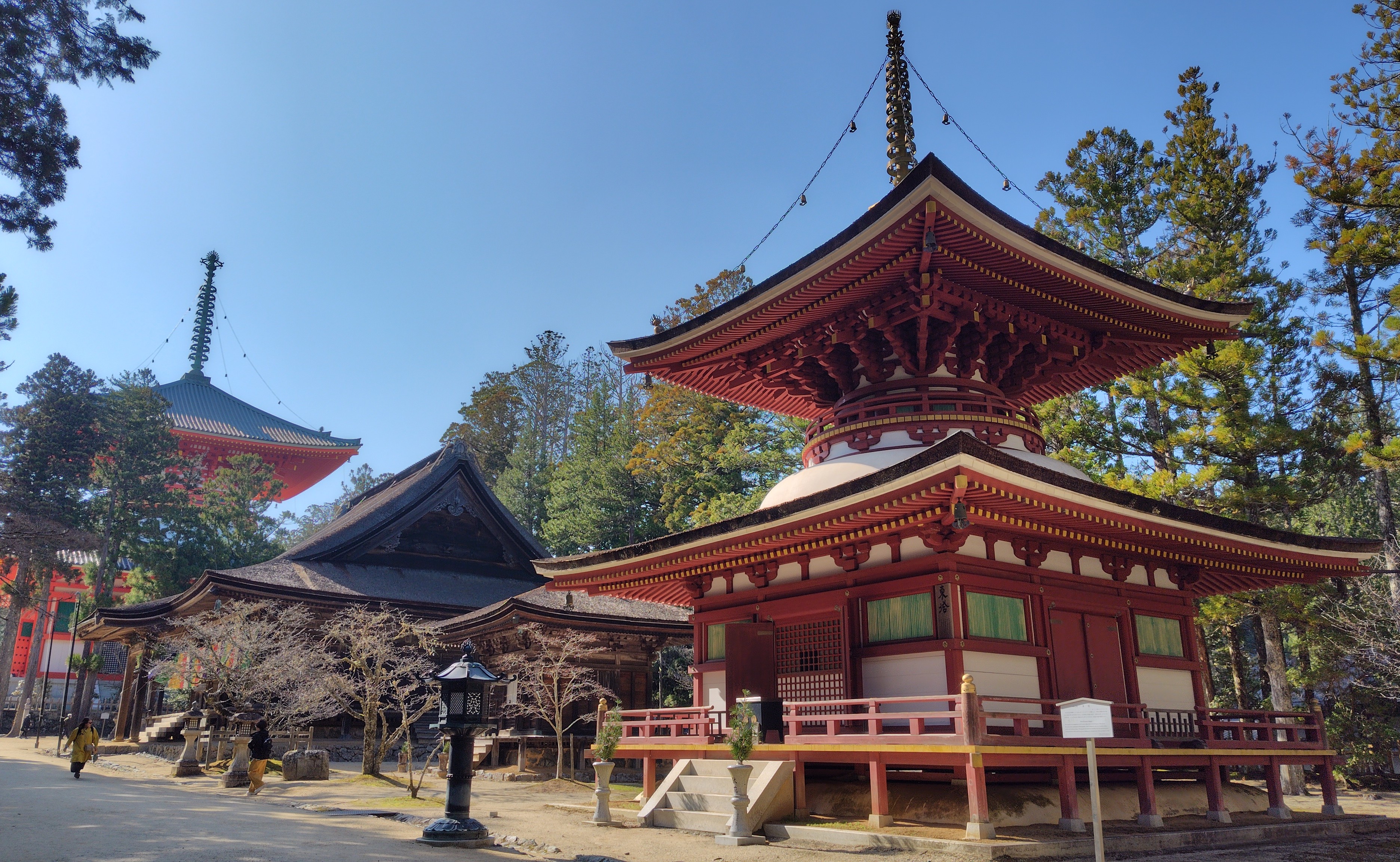 �������ȹ��