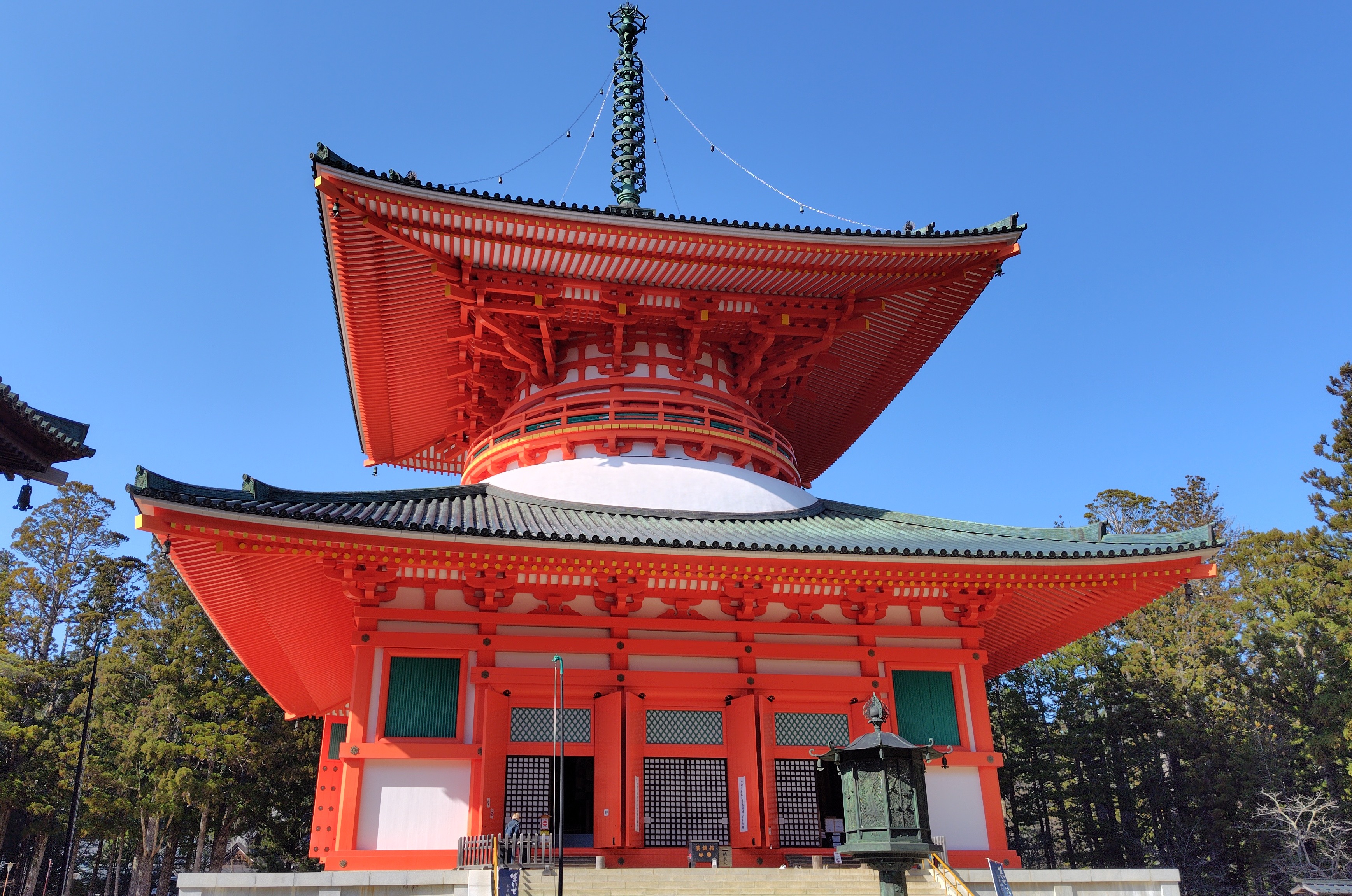 �������ȹ��