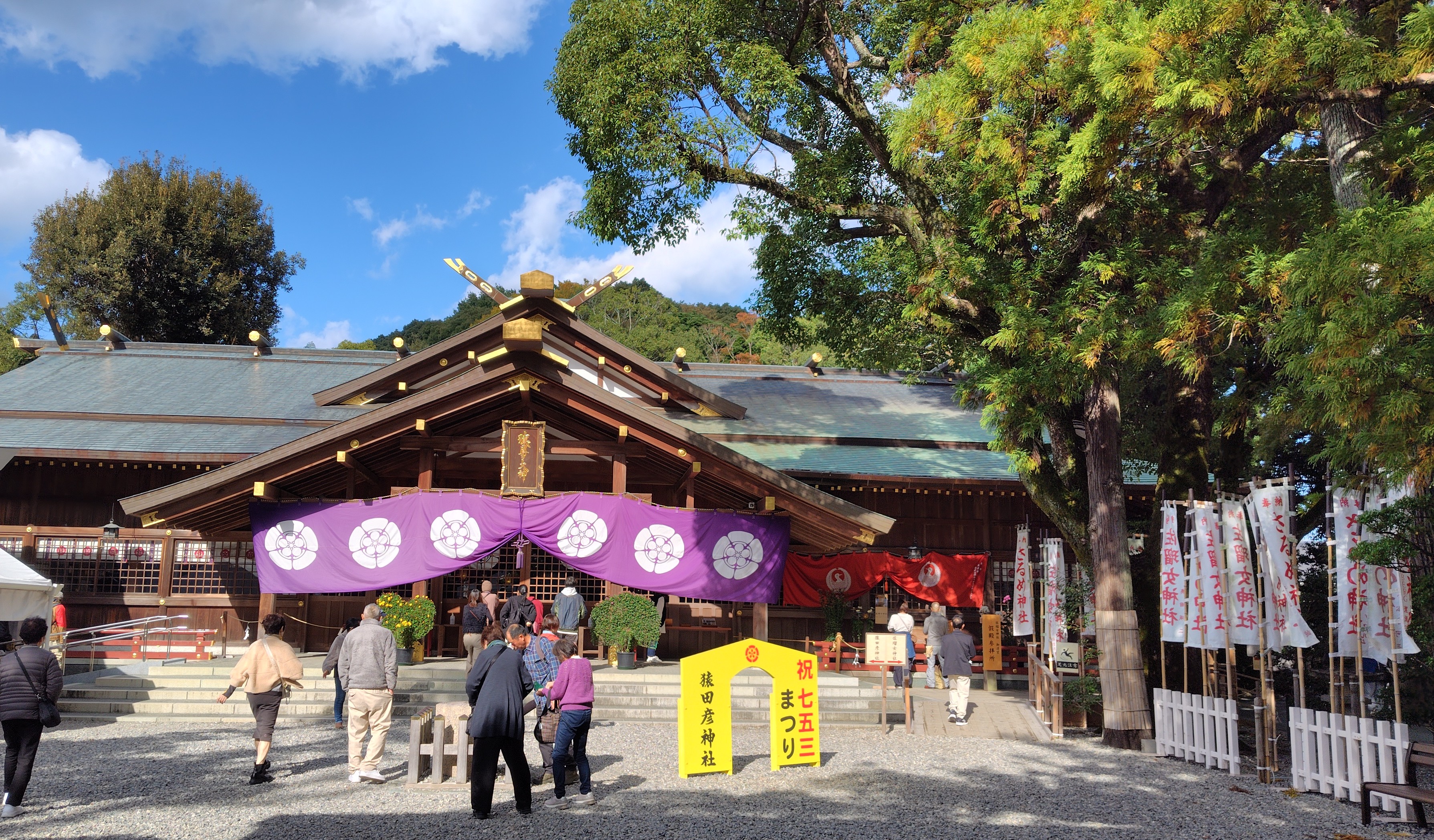 �Τʤ���Τ���������(�ʎގ�)