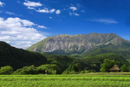 �����ٻ� �绳�л�