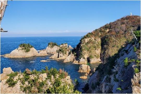 �����ٻ� �绳�л�