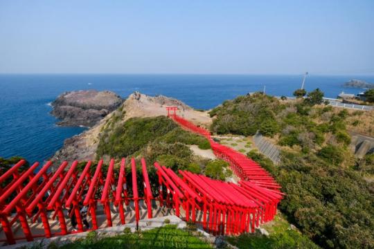 ��Ƥ�Ĺ��ϩ���롦������