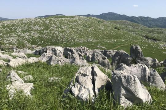 ½é²Æ¤ÎĹ½£Ï©¡¡Ç롦½©µÈÂæ