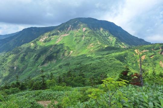 ëÀî³Ù¤ÈÉľ컳